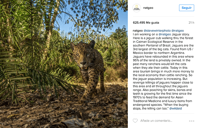 instagram natgeo