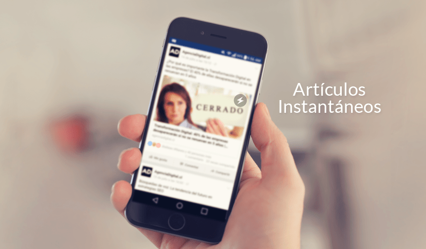Artículos Instantáneos