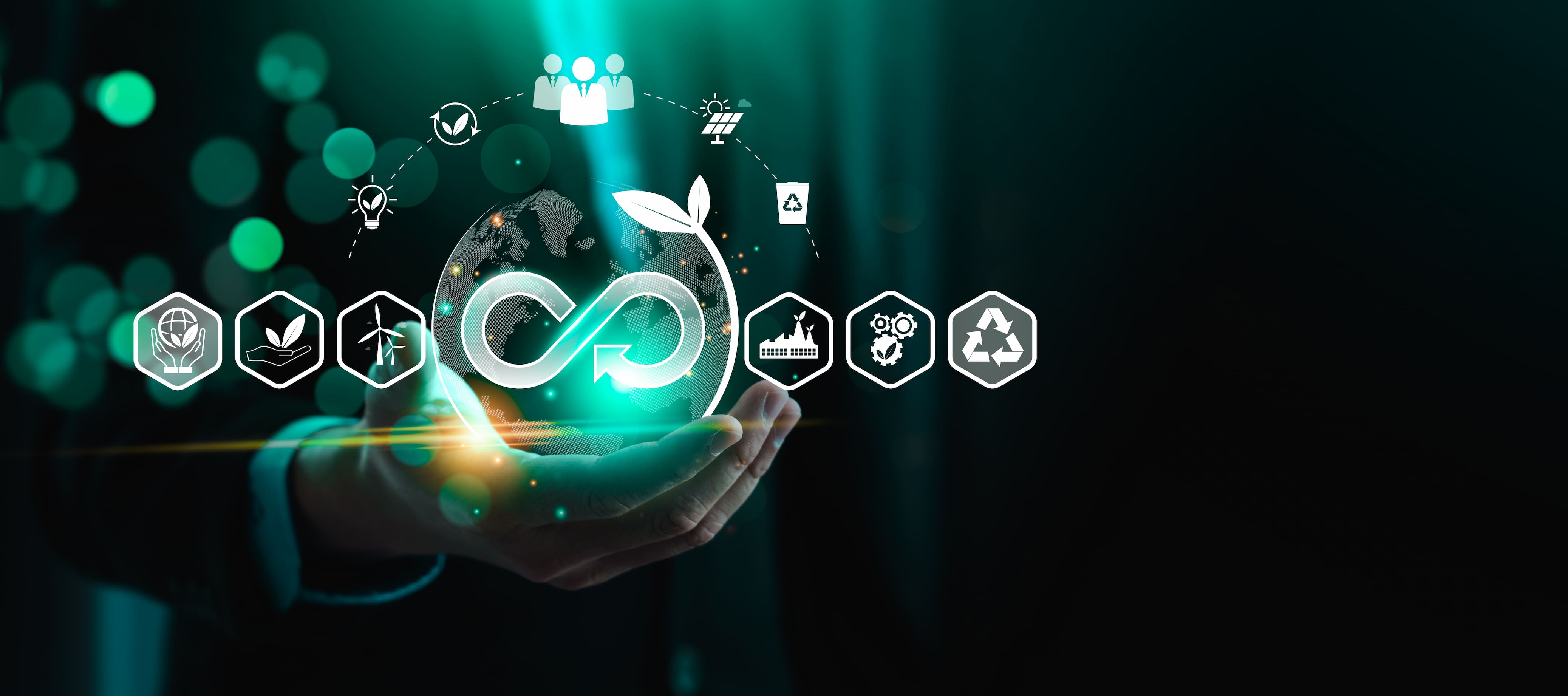 Sostenibilidad y Economía Circular como Normas Básicas