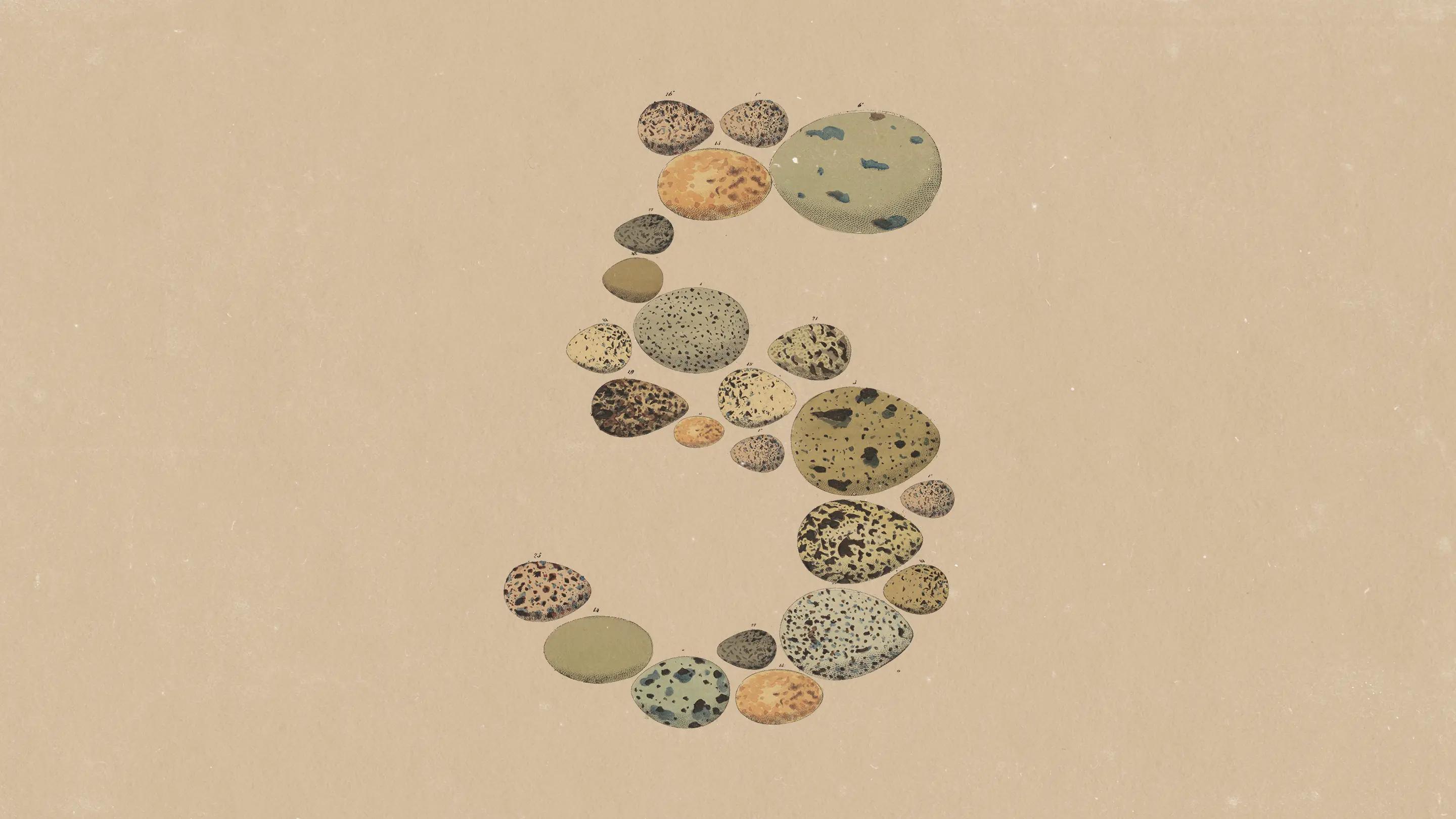 Claude Opus 5: El giro de Anthropic hacia la eficiencia: